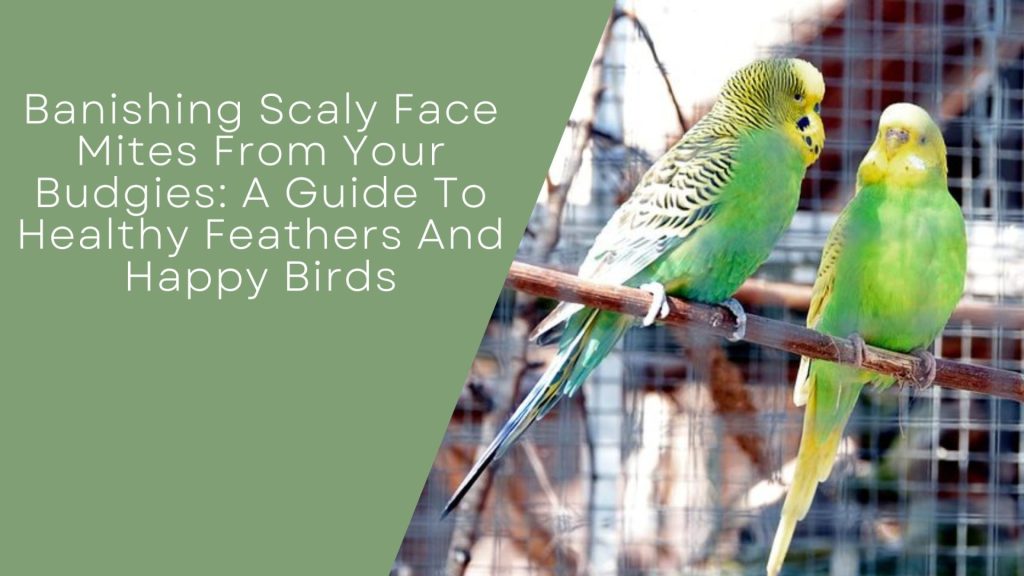 Scaly Face Mites